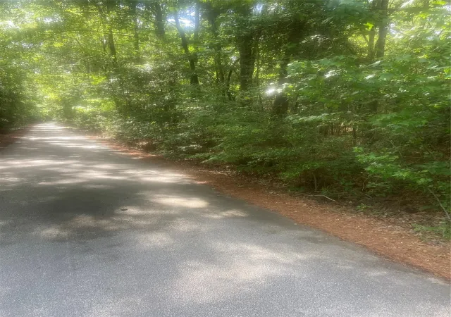 5th image of 251 Pickens Loop, Livingston, TX 77351 | MLS# 82549671