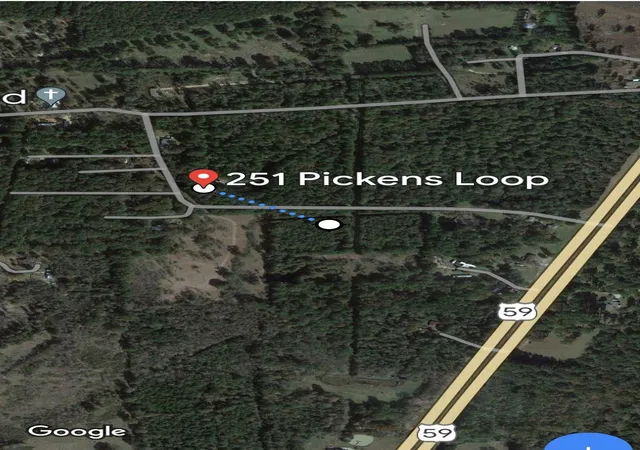 9th image of 251 Pickens Loop, Livingston, TX 77351 | MLS# 82549671