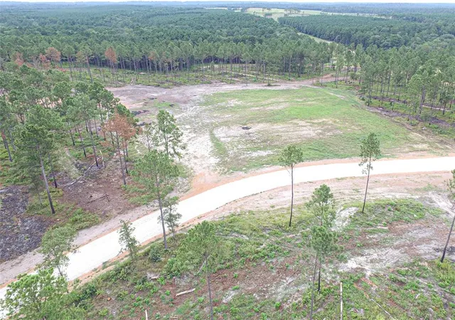 Photo 3 of Land for sale at 009 Nelson Dr, Livingston, TX 77351 | MLS# 30591440 | Listing updated on 2026-04-01