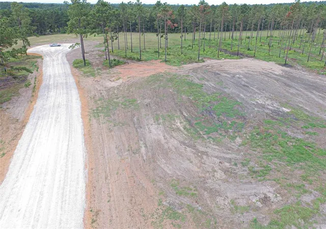 Photo 3 of Land for sale at 009 Nelson Dr, Livingston, TX 77351 | MLS# 30591440 | Listing updated on 2026-04-01