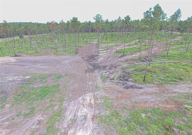Photo 4 of Land for sale at 009 Nelson Dr, Livingston, TX 77351 | MLS# 30591440 | Listing updated on 2026-04-01