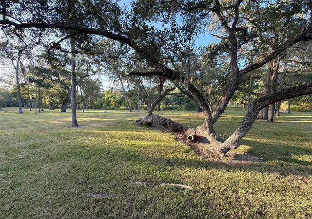 Photo 1 of Land for sale at 0 River Oaks Road, Damon, TX 77430 | MLS# 8073277 | Listing updated on 2026-08-28