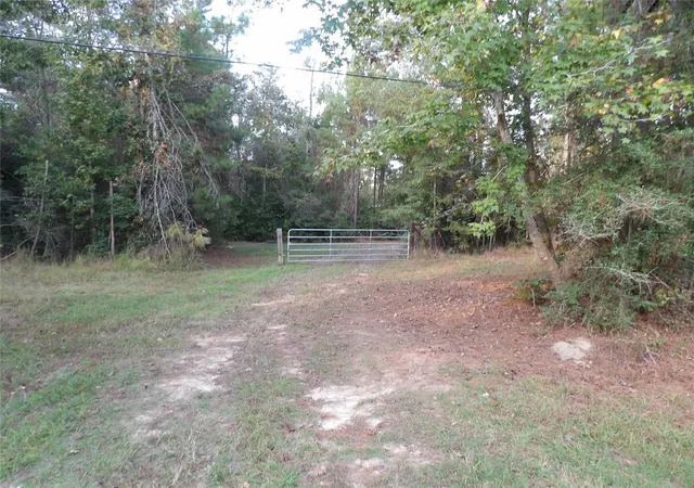 15th image of 000 Fm 1013, Spurger, TX 77660 | MLS# 61397428