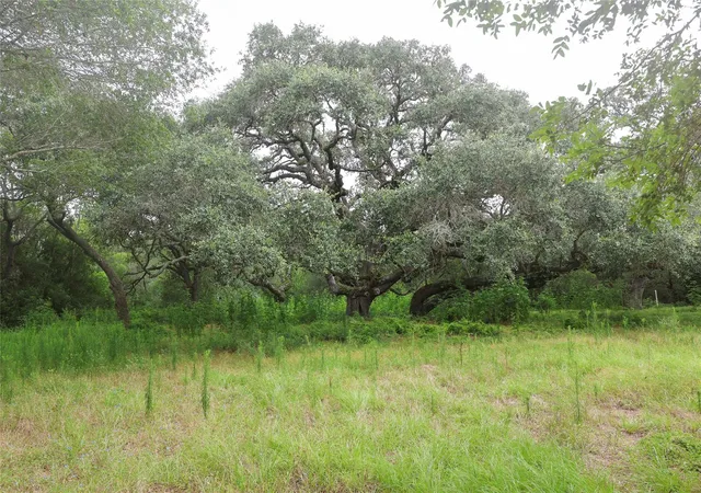2nd image of 1340 Cr 253, Weimar, TX 78962 | MLS# 63884416