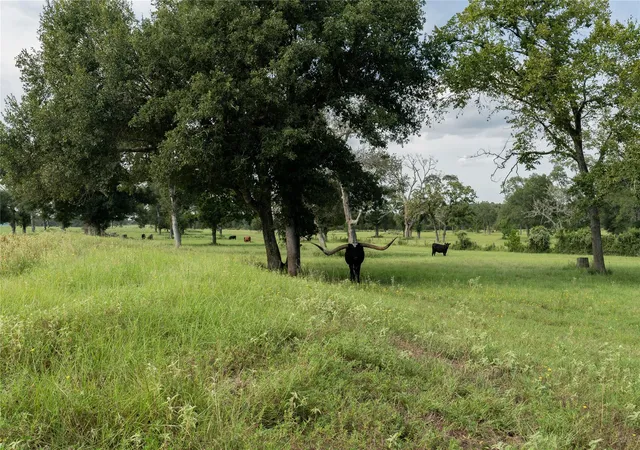1st image of 000 Aztec Ln, New Ulm, TX 78950 | MLS# 53987660