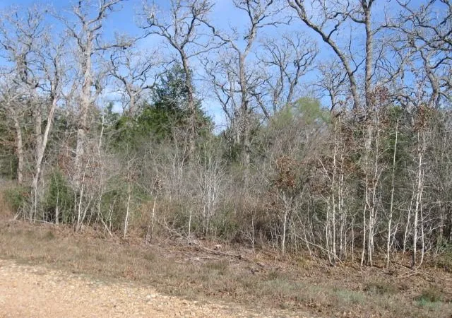 Photo 1 of Land for sale at 100 Rainbow Cir, Somerville, TX 77879 | MLS# 55495758 | Listing updated on 2026-07-23
