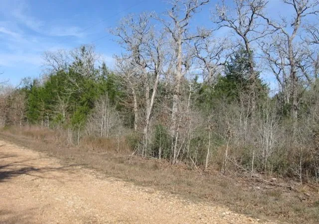 Photo 2 of Land for sale at 100 Rainbow Cir, Somerville, TX 77879 | MLS# 55495758 | Listing updated on 2026-07-23