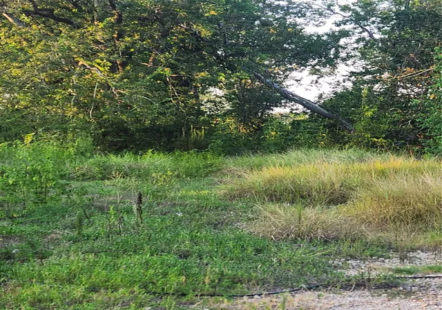 Photo 3 of Sale Pending at 16026 Sam Brookins St, Sugar Land, TX 77498 | MLS# 40860663 | Listing updated on 2026-09-13