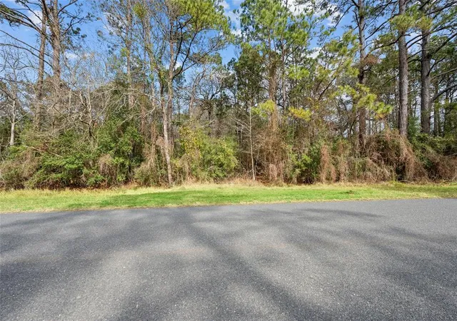 4th image of 00 Fm 563, Wallisville, TX 77575 | MLS# 47056851