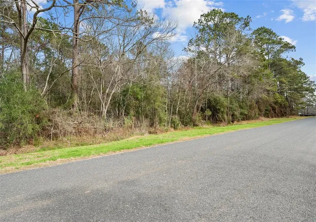 5th image of 00 Fm 563, Wallisville, TX 77575 | MLS# 47056851
