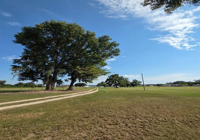 Homes for sale in Trinity, TX | 0 Skains Chapel Road, Trinity, TX 75862 | MLS# 21351981