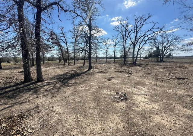2nd image of Tbd W I 10 Frontage Rd, Flatonia, TX 78941 | MLS# 42628549