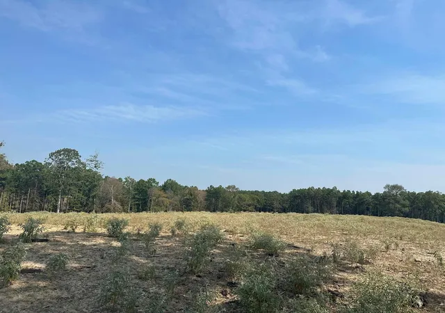 7th image of 000 20 Fm256 N, Woodville, TX 75979 | MLS# 25850022