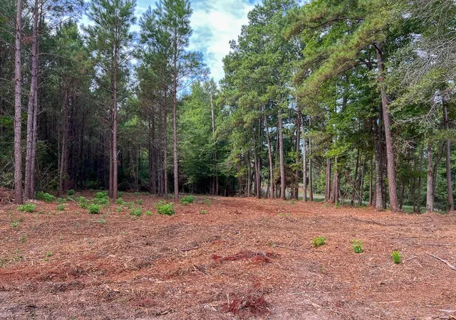 Photo 4 of Land for sale at 2 Fm 1987, Corrigan, TX 77351 | MLS# 33006260 | Listing updated on 2026-08-21