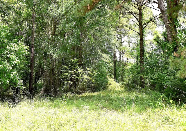 Photo 2 of Land for sale at 4414 Shady Ln, Huntsville, TX 77320 | MLS# 77830238 | Listing updated on 2026-01-17