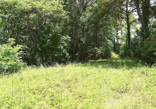 Photo 3 of Land for sale at 4414 Shady Ln, Huntsville, TX 77320 | MLS# 77830238 | Listing updated on 2026-01-17