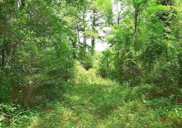 Photo 4 of Land for sale at 4414 Shady Ln, Huntsville, TX 77320 | MLS# 77830238 | Listing updated on 2026-01-17