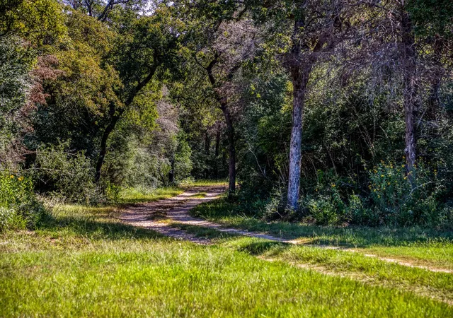 1st image of 3336 County Road 326, Lexington, TX 78947 | MLS# 70249423
