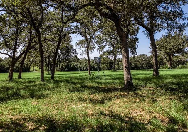 2nd image of 3336 County Road 326, Lexington, TX 78947 | MLS# 70249423