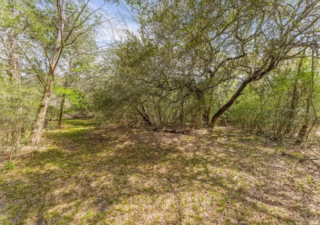 Homes for sale in New Ulm, TX | 1221 Abel Rd, New Ulm, TX 78950 | MLS# 75752738