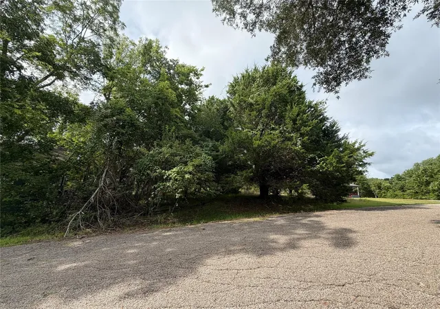 Land for sale at 0 Timber Cvs Ln, Coldspring, TX 77331 | MLS# 51724034