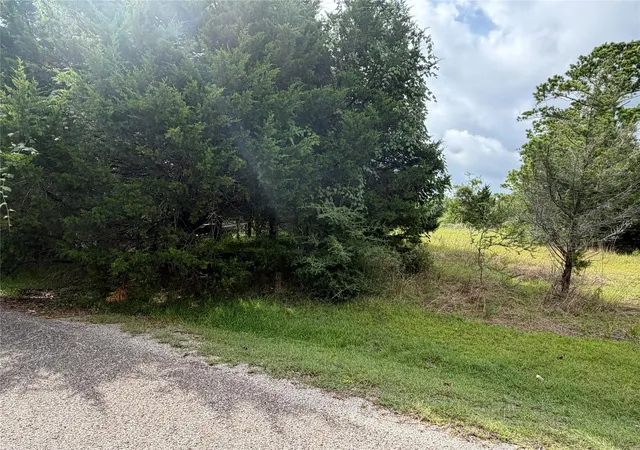 Photo 2 of Land for sale at 0 Timber Cvs Ln, Coldspring, TX 77331 | MLS# 51724034 | Listing updated on 2026-07-15