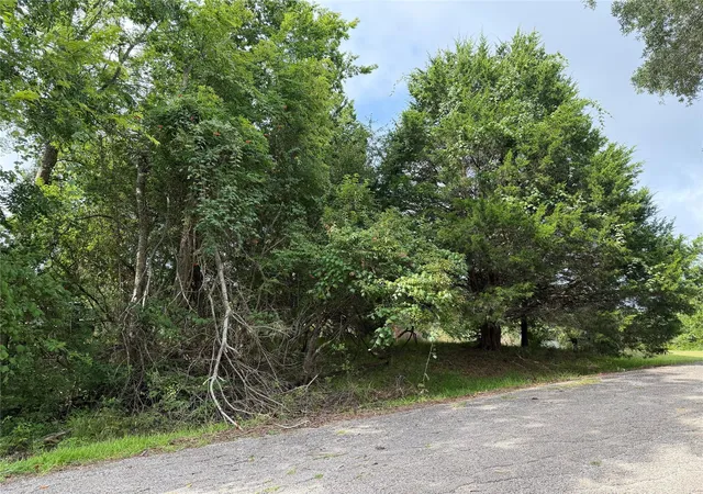 Photo 2 of Land for sale at 0 Timber Cvs Ln, Coldspring, TX 77331 | MLS# 51724034 | Listing updated on 2026-07-15