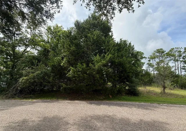 Photo 4 of Land for sale at 0 Timber Cvs Ln, Coldspring, TX 77331 | MLS# 51724034 | Listing updated on 2026-07-15