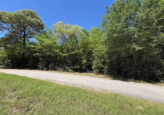 Homes for sale in Kountze, TX | 000 E Williford, Kountze, TX 77625 | MLS# 85246749