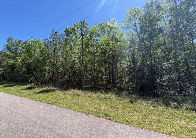 Homes for sale in Kountze, TX | 000 E Williford, Kountze, TX 77625 | MLS# 85246749