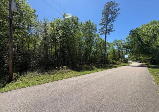 Homes for sale in Kountze, TX | 000 E Williford, Kountze, TX 77625 | MLS# 85246749