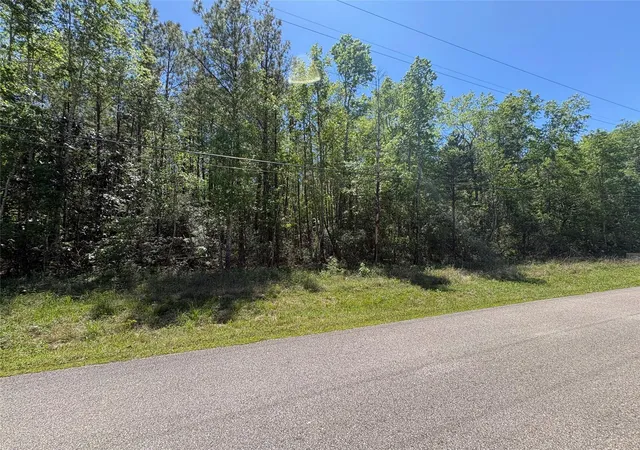 Homes for sale in Kountze, TX | 000 E Williford, Kountze, TX 77625 | MLS# 85246749