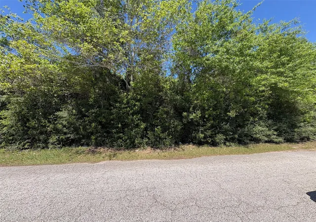 Homes for sale in Kountze, TX | 000 E Williford, Kountze, TX 77625 | MLS# 85246749