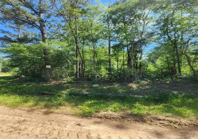 1st image of 02 Cindy Ln, Shepherd, TX 77371 | MLS# 15685057