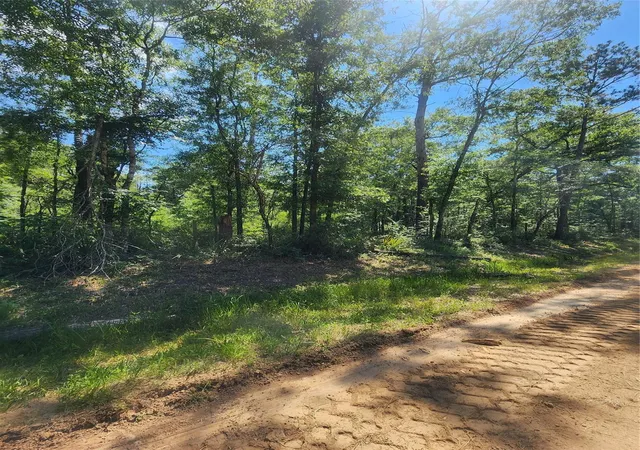 2nd image of 02 Cindy Ln, Shepherd, TX 77371 | MLS# 15685057