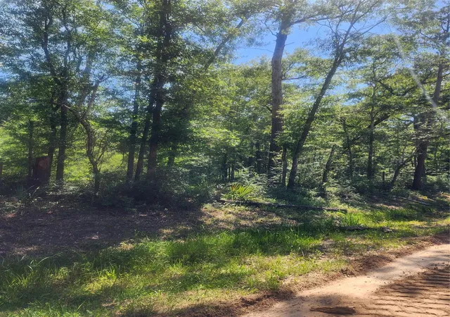 Photo 3 of Land for sale at 02 Cindy Ln, Shepherd, TX 77371 | MLS# 15685057 | Listing updated on 2026-05-14