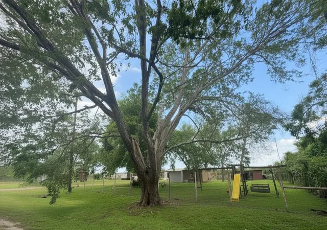 1st image of 8925 Spruce St, Hitchcock, TX 77563 | MLS# 46000877