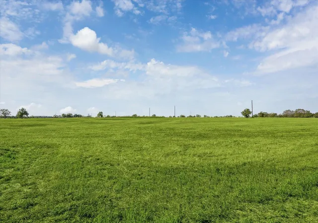 Photo 2 of Land for sale at 0000 Farm To Market 2187, Sealy, TX 77474 | MLS# 26633339 | Listing updated on 2025-10-18