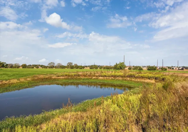 Photo 3 of Land for sale at 0000 Farm To Market 2187, Sealy, TX 77474 | MLS# 26633339 | Listing updated on 2025-10-18