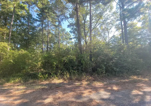 Photo 1 of Land for sale at 30 Jeffery Dr, Huntsville, TX 77320 | MLS# 29919412 | Listing updated on 2025-10-10