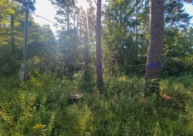 Photo 2 of Land for sale at 30 Jeffery Dr, Huntsville, TX 77320 | MLS# 29919412 | Listing updated on 2025-10-10
