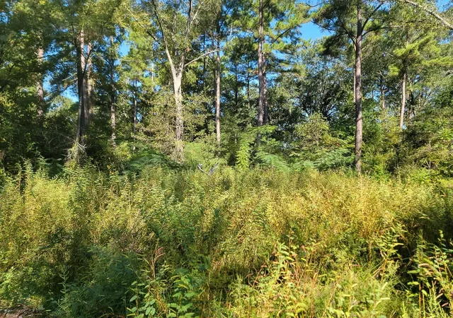 Photo 3 of Land for sale at 30 Jeffery Dr, Huntsville, TX 77320 | MLS# 29919412 | Listing updated on 2025-10-10