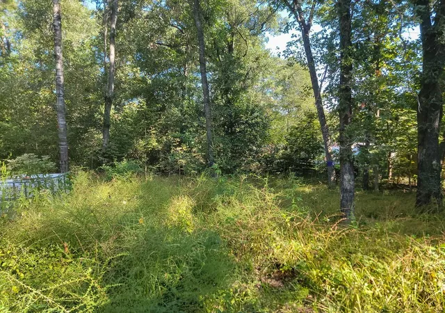 Photo 4 of Land for sale at 30 Jeffery Dr, Huntsville, TX 77320 | MLS# 29919412 | Listing updated on 2025-10-10