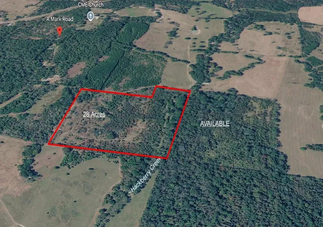 Homes for sale in Apple Springs, TX | 0 Amark Rd, Apple Springs, TX 75926 | MLS# 81797660