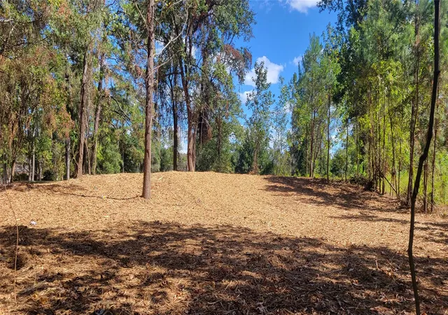 2nd image of 735 Stonewall Jackson Dr, Conroe, TX 77302 | MLS# 58885109
