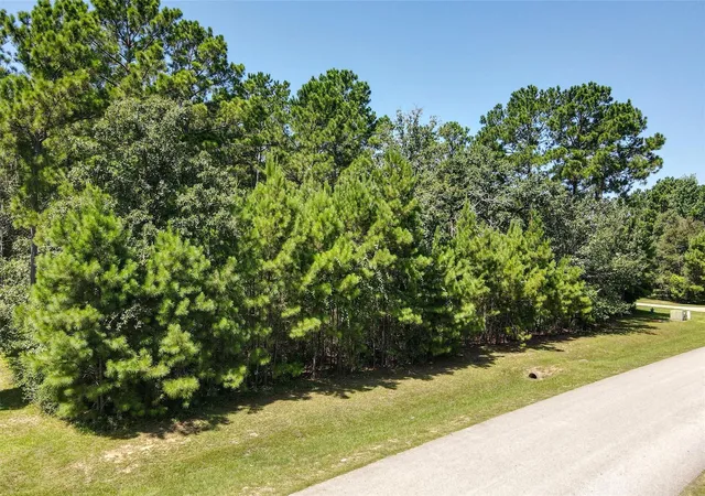 Photo 2 of Land for sale at 26095 Crown Ranch Blvd, Montgomery, TX 77316 | MLS# 57025285 | Listing updated on 2026-07-22