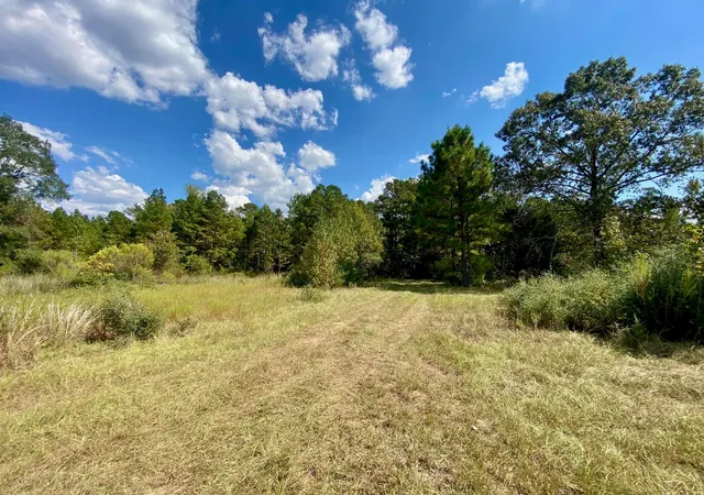 50th image of 1593 Cr 2290, Grapeland, TX 75844 | MLS# 48774069