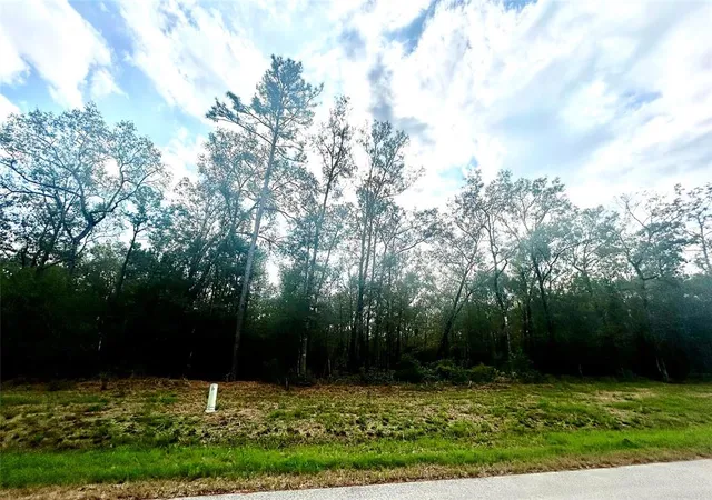 Photo 3 of Land for sale at 1535 County Road 632, Dayton, TX 77535 | MLS# 6029918 | Listing updated on 2026-08-17