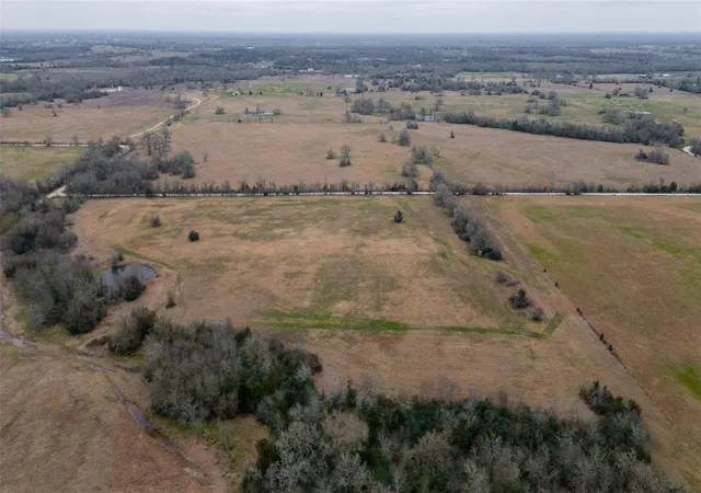Homes for sale in North Zulch, TX | 23+/- Ac Denman Rd, North Zulch, TX 77872 | MLS# 72663471