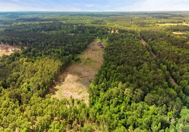 Photo 3 of Land for sale at 0 County Rd 3993, Bloomburg, TX 75556 | MLS# 54059165 | Listing updated on 2026-09-24